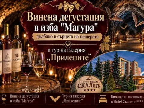 Хотел Скалите, Белоградчик