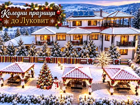 Къща за гости Миша, Луковит